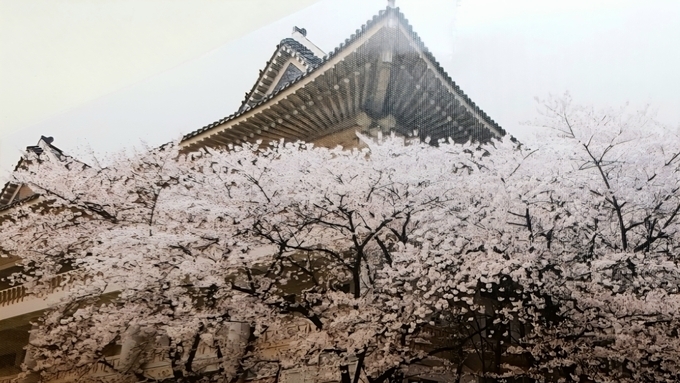 최초 벚꽃 축제는 이순신 장군을 기리기 위해서