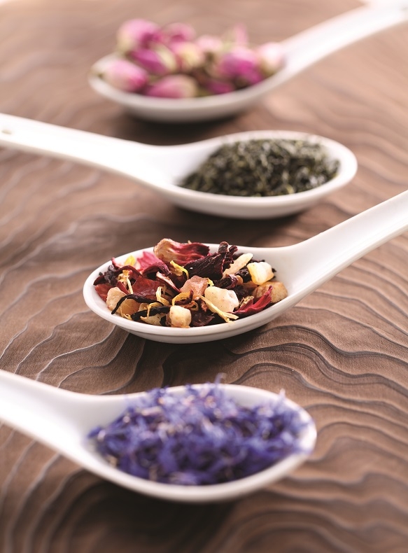 차 전문기업 다미안.jpg