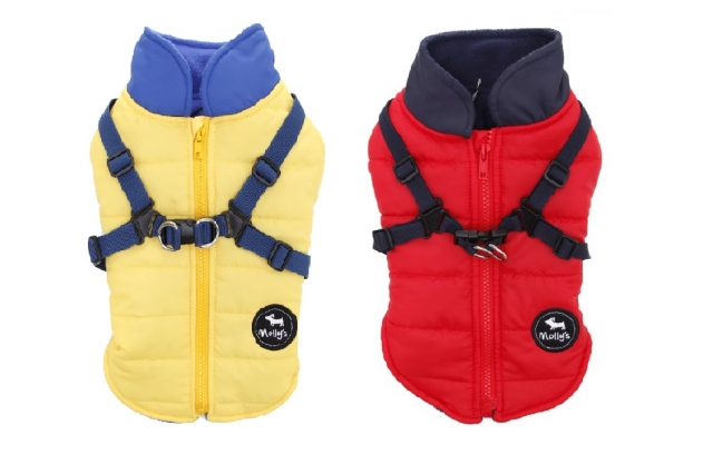 몰리스_하네스 패딩.jpg